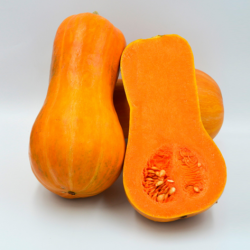 Dynia Beja F1 1000 nasion  st